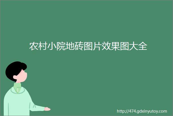 农村小院地砖图片效果图大全